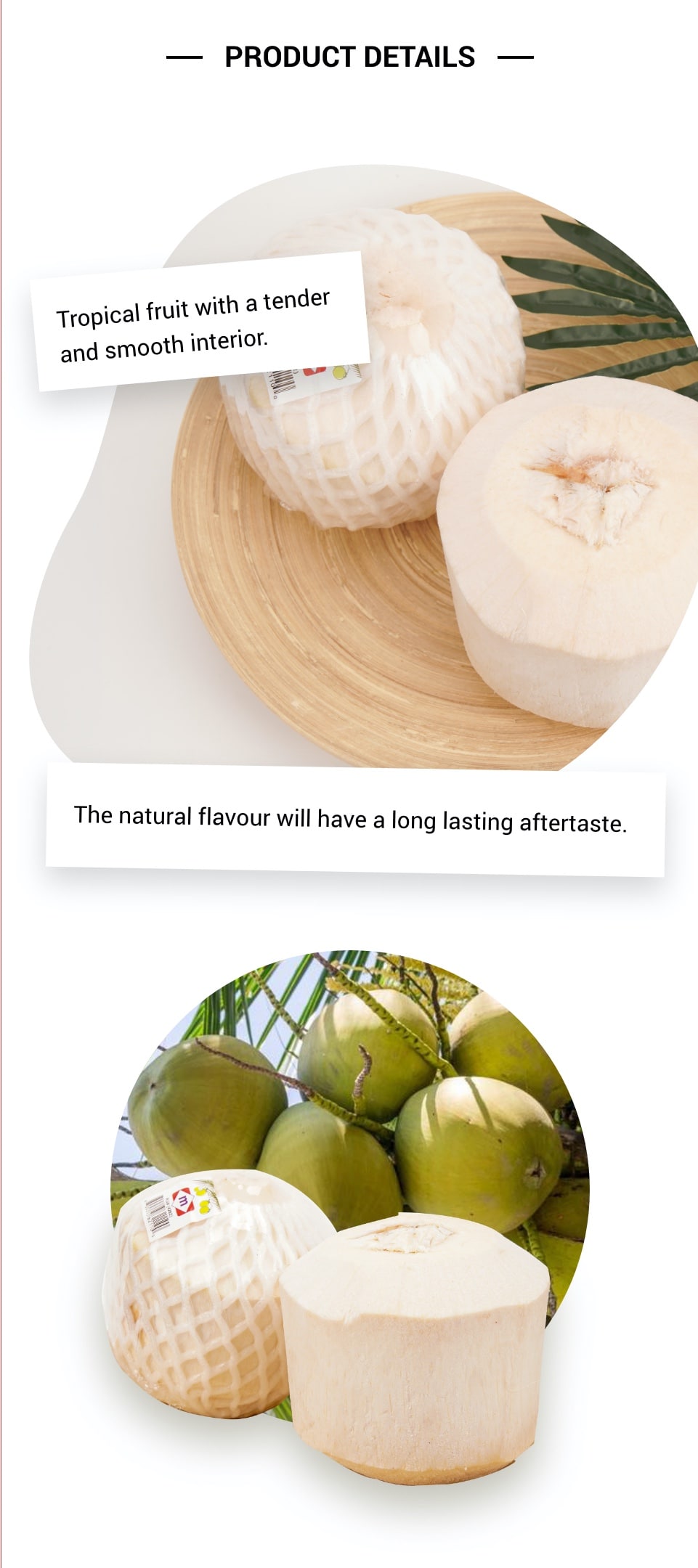 Young Coconut 1 Each T&T Supermarket