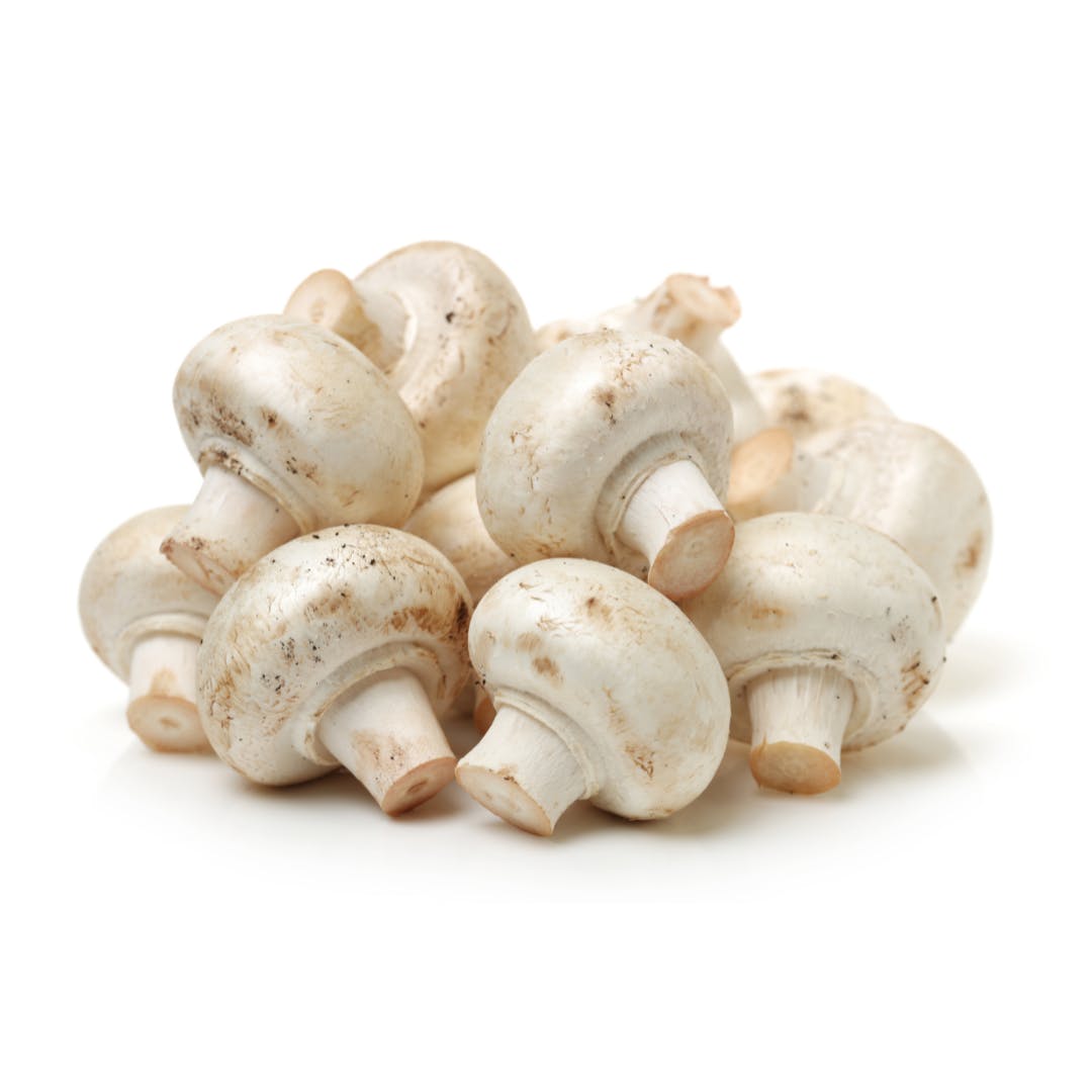 SOLD): HOMMA, Takashi. Scandinavian Mushroom. - Cult Jones